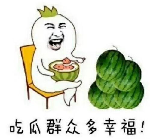 吃瓜娱乐菌